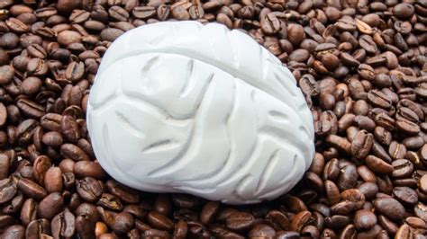 K­a­f­e­i­n­ ­T­ü­k­e­t­i­m­i­n­i­n­ ­B­e­y­i­n­d­e­k­i­ ­­G­r­i­ ­M­a­d­d­e­y­i­­ ­A­z­a­l­t­t­ı­ğ­ı­ ­O­r­t­a­y­a­ ­Ç­ı­k­t­ı­